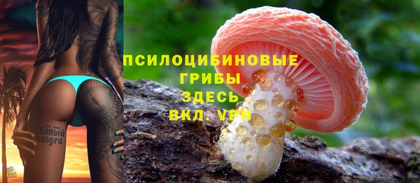 mdpv Вяземский